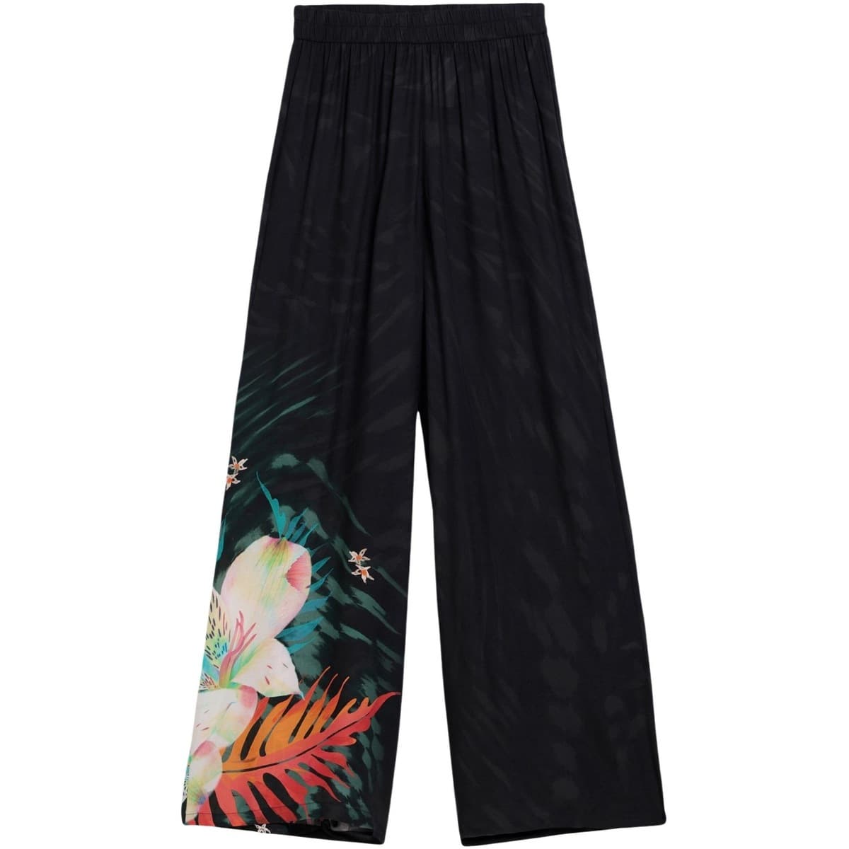 Women's Pants Desigual Black