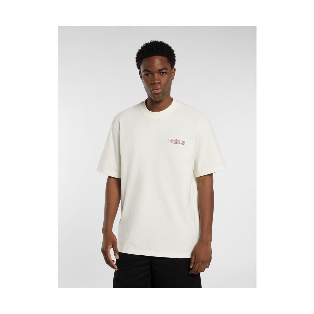 Men's T-Shirts Dickies Beige