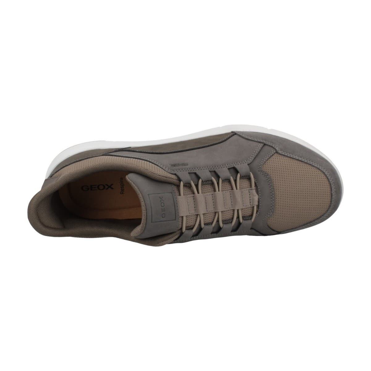 Men's Sneakers Geox Brown