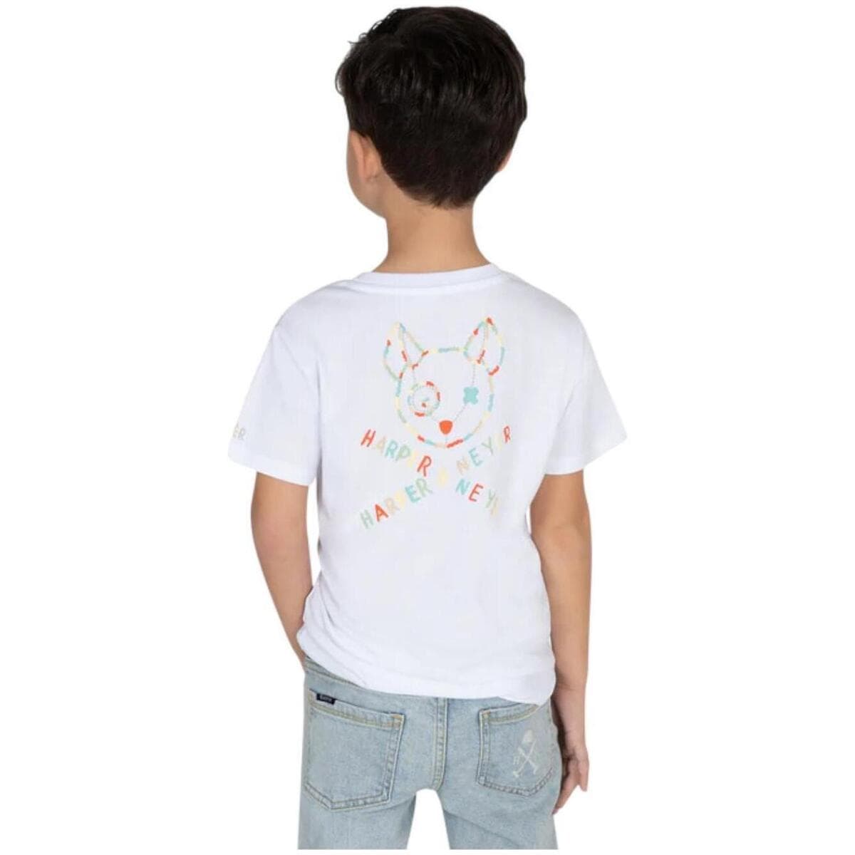 Boys' T-Shirts Harper And Neyer White
