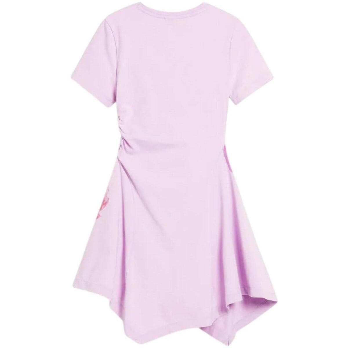 Women's Dresses Desigual Pink