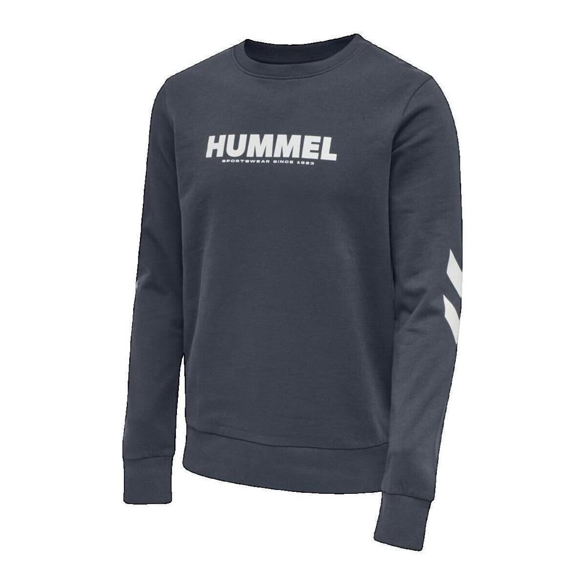 Men's Sports Hoodies & Sweatshirts hummel Blue