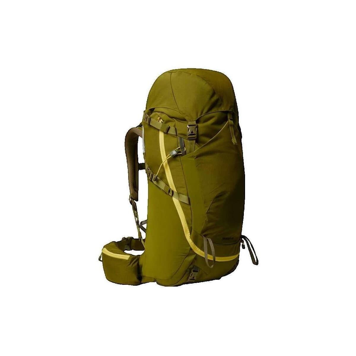 Boys' Backpacks The North Face Green