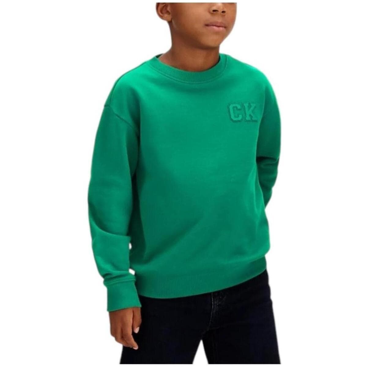Boys' Hoodies & Sweatshirts Calvin Klein Green