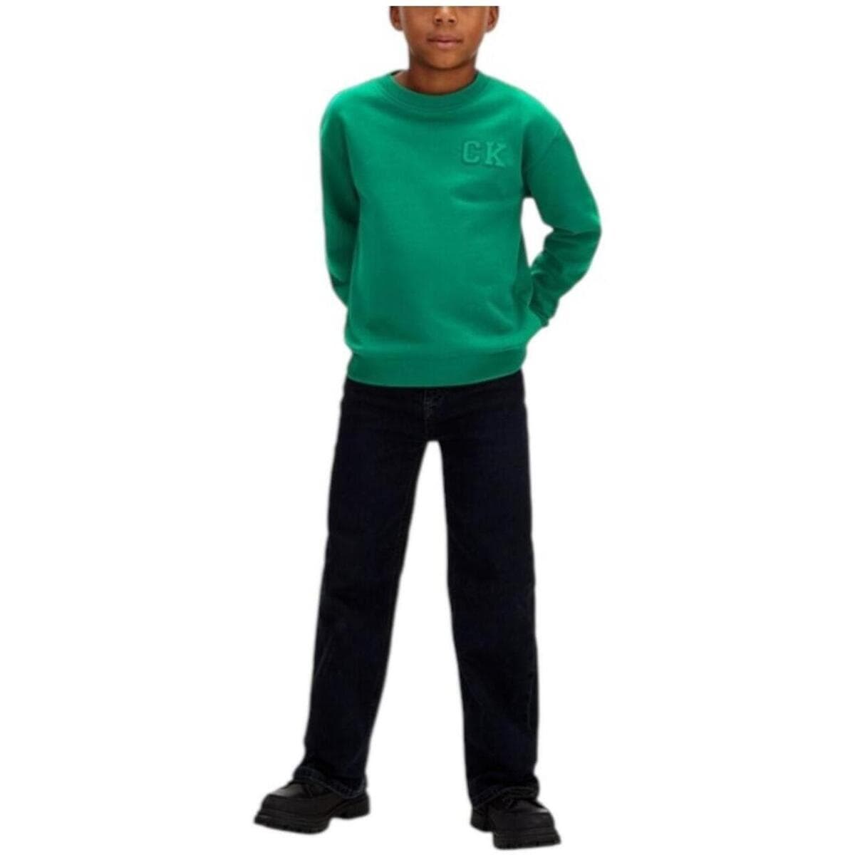 Boys' Hoodies & Sweatshirts Calvin Klein Green