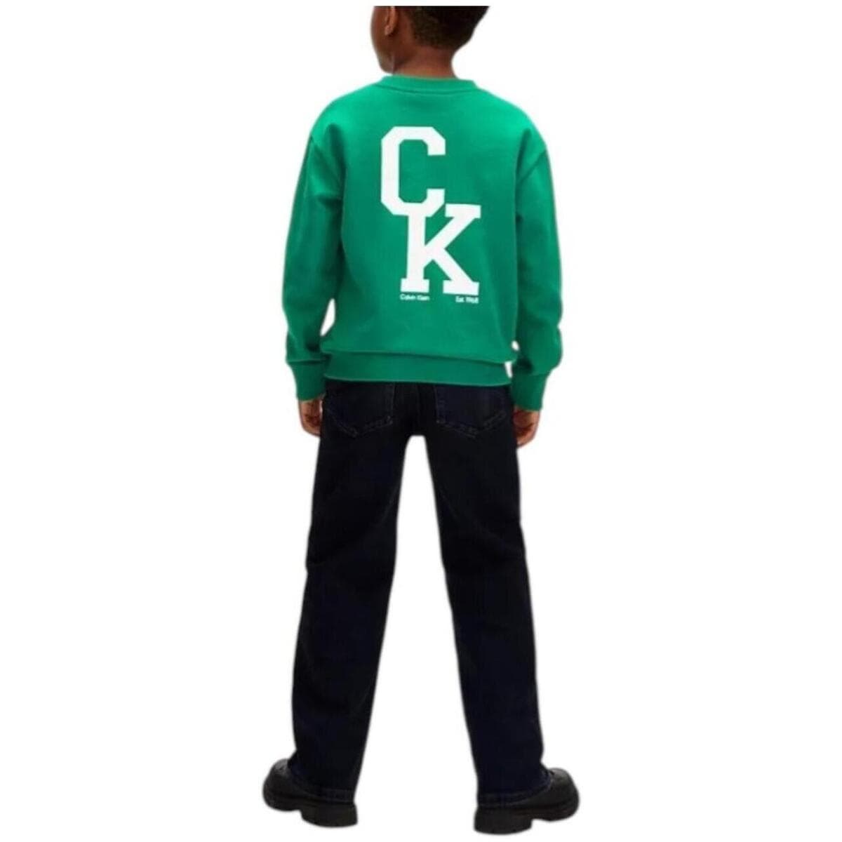 Boys' Hoodies & Sweatshirts Calvin Klein Green