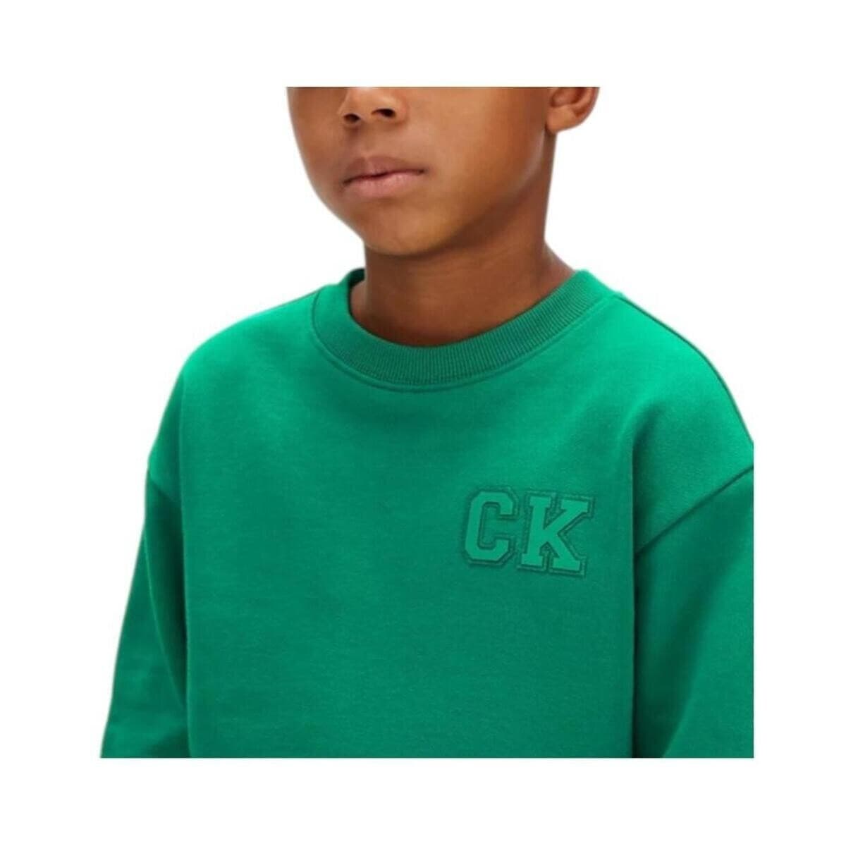 Boys' Hoodies & Sweatshirts Calvin Klein Green
