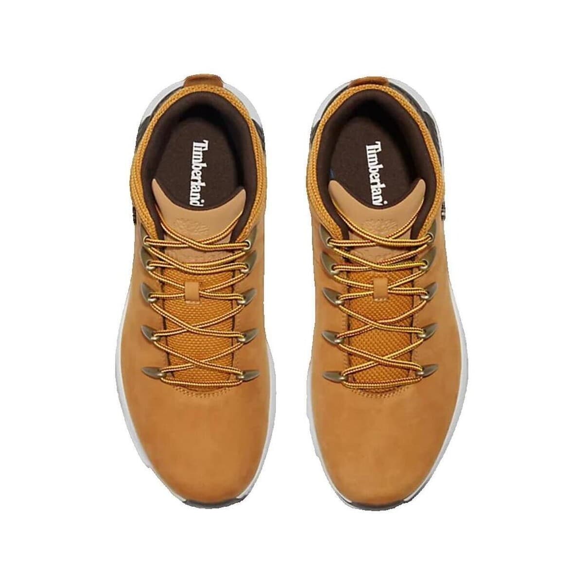Men's Sneakers Timberland Brown
