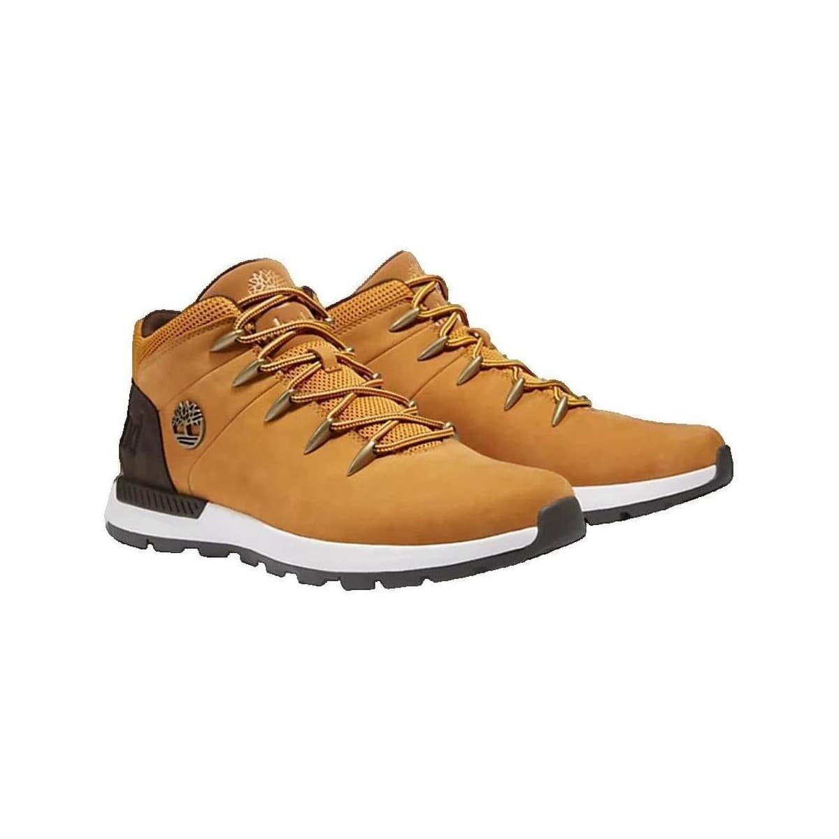 Men's Sneakers Timberland Brown