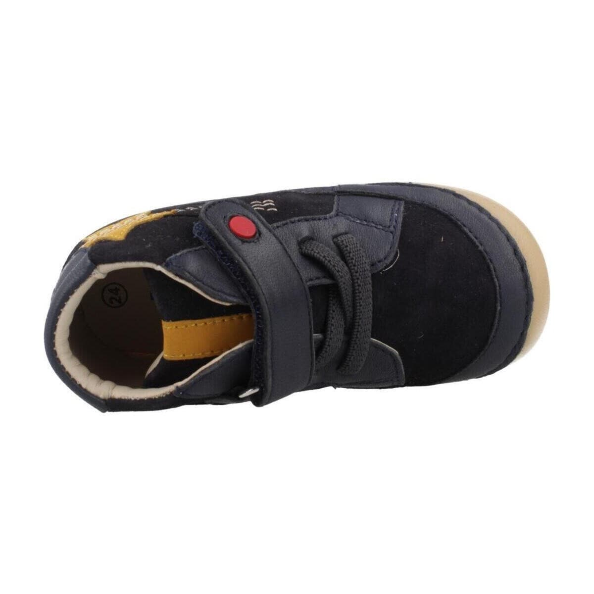 Boys' Sneakers Kickers Blue