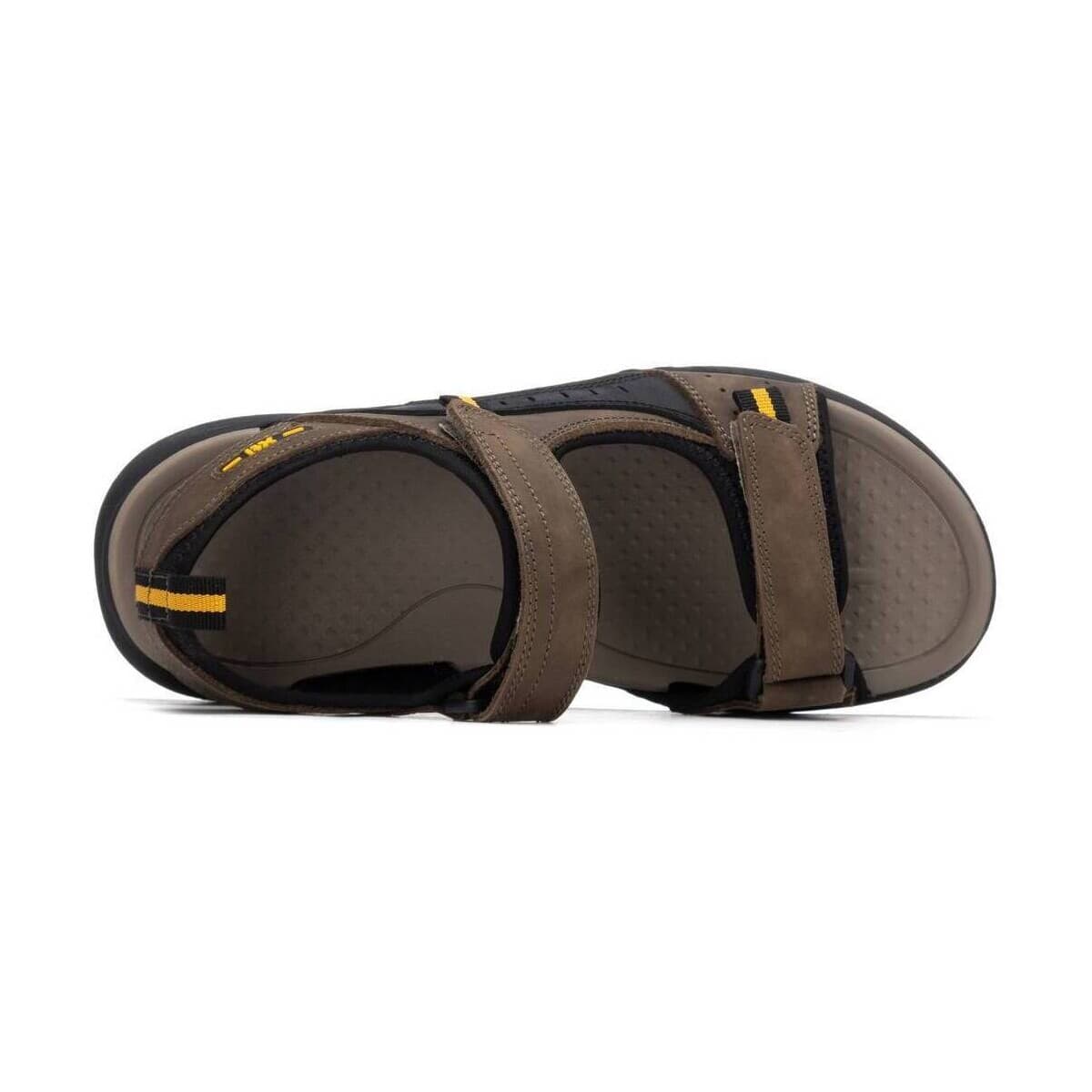 Men's Sports Sandals Xti Brown