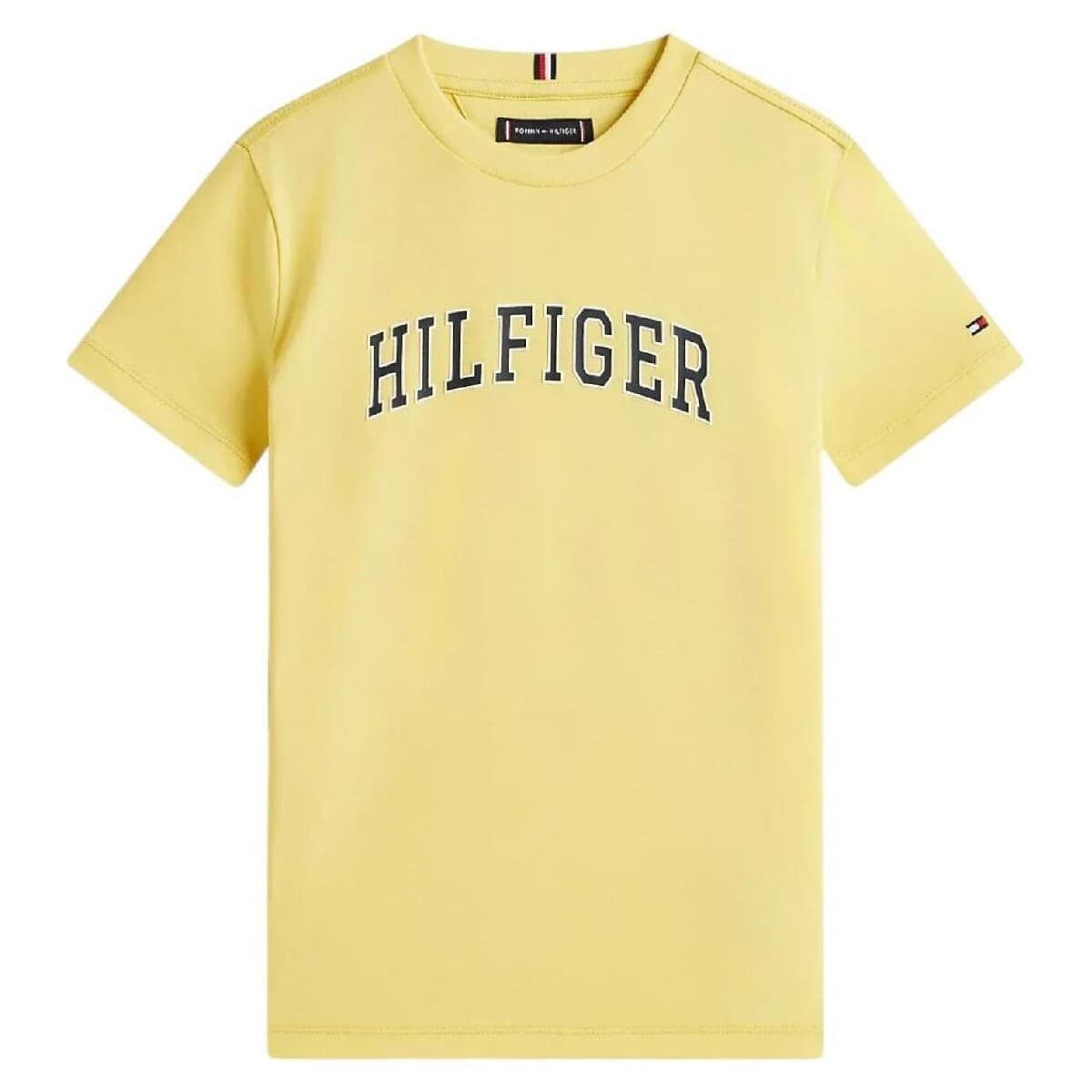 T-shirt με κοντά μανίκια Tommy Hilfiger KB0KB10420 ZGP