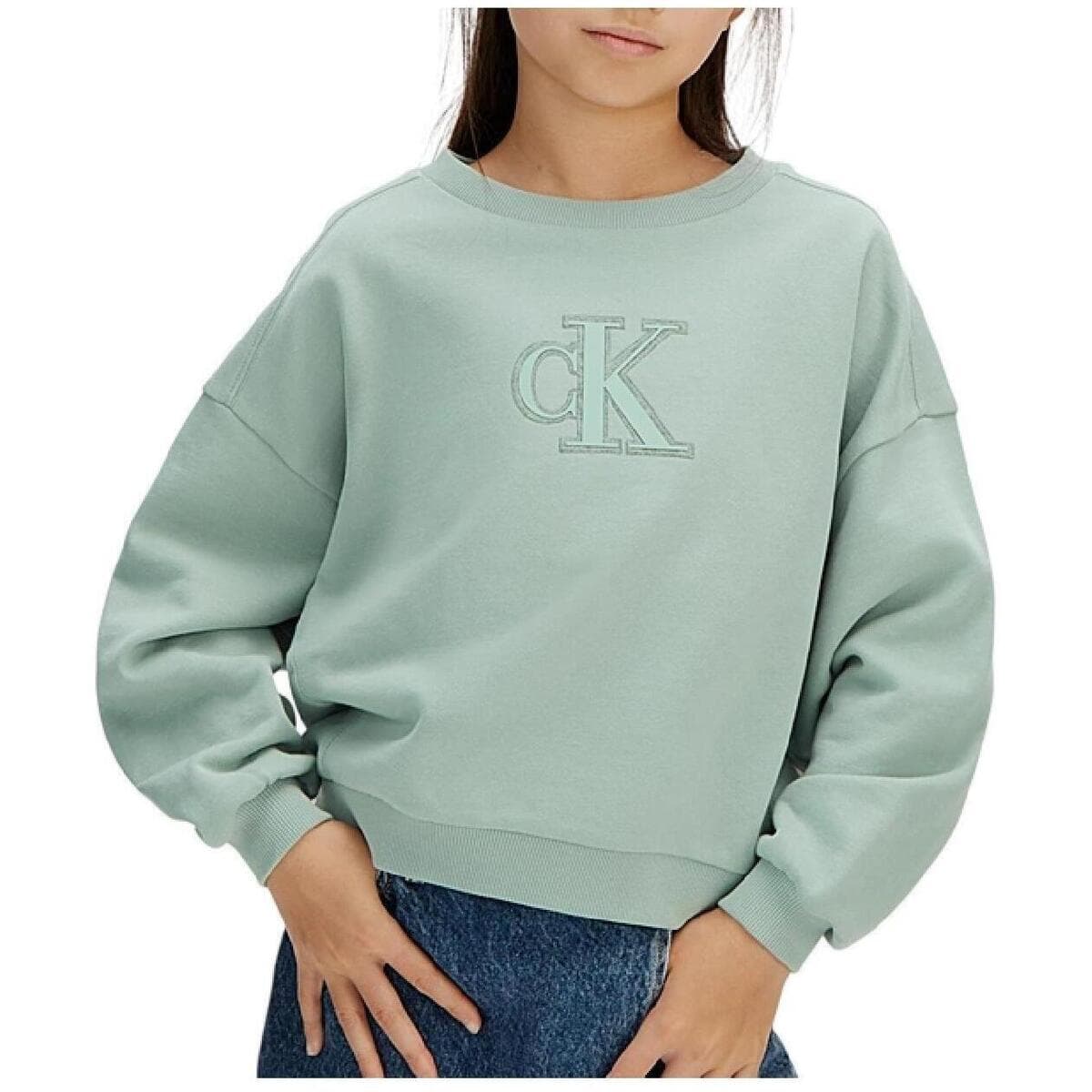 Girls' Hoodies & Sweatshirts Calvin Klein Blue