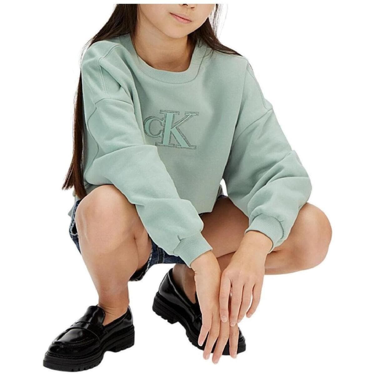 Girls' Hoodies & Sweatshirts Calvin Klein Blue
