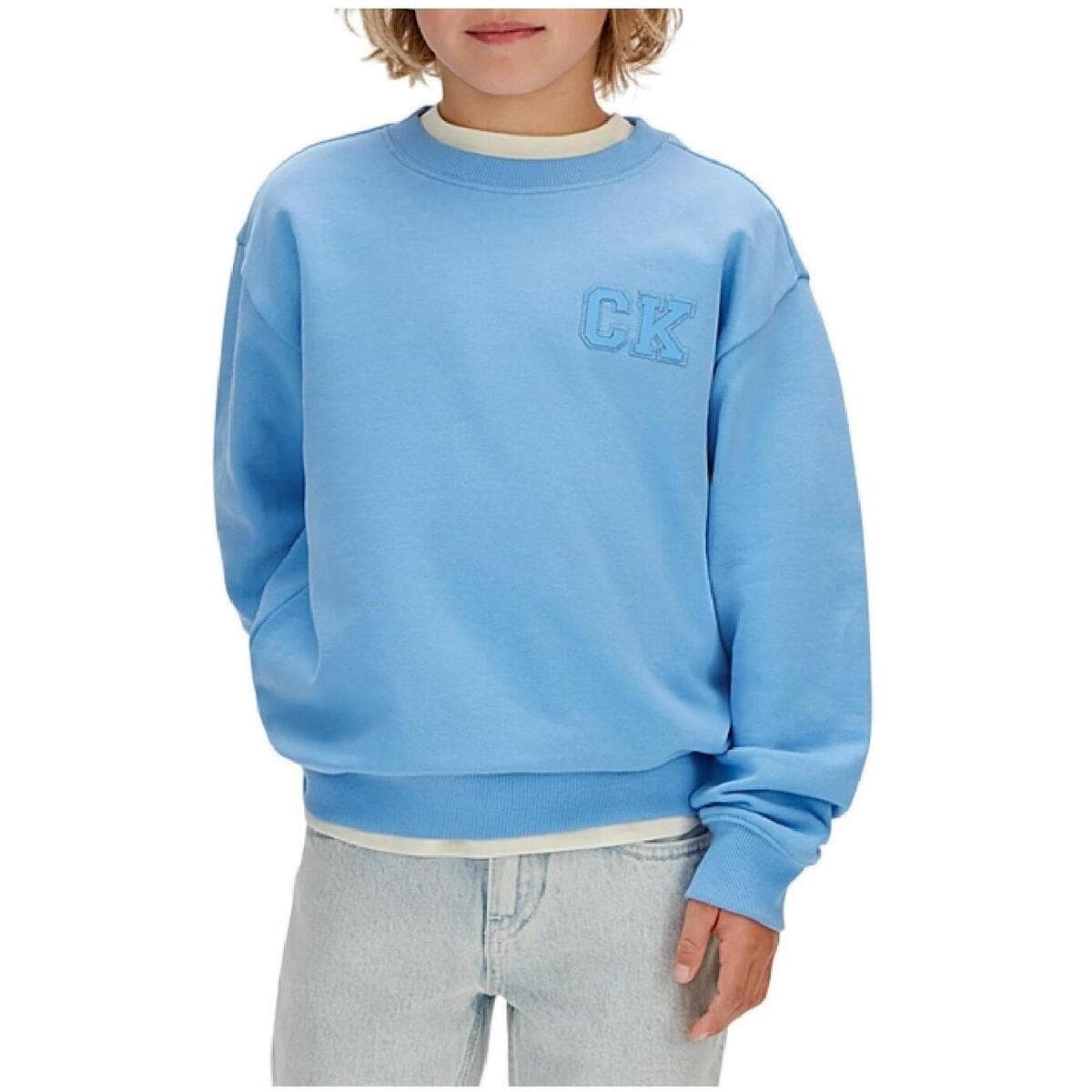 Boys' Hoodies & Sweatshirts Calvin Klein Blue
