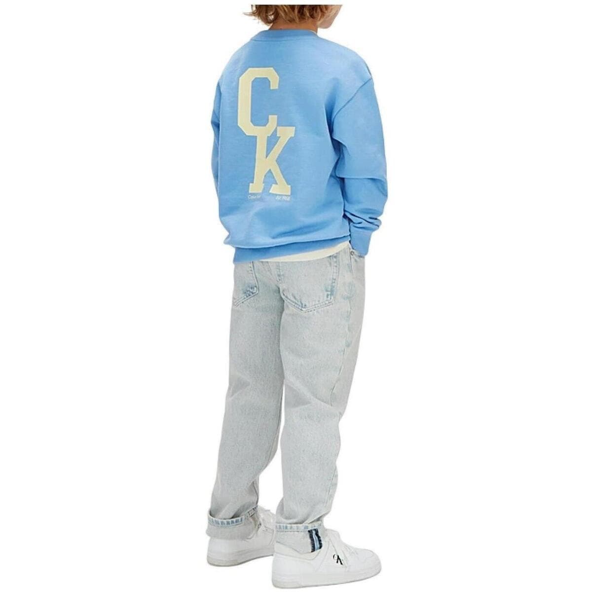 Boys' Hoodies & Sweatshirts Calvin Klein Blue