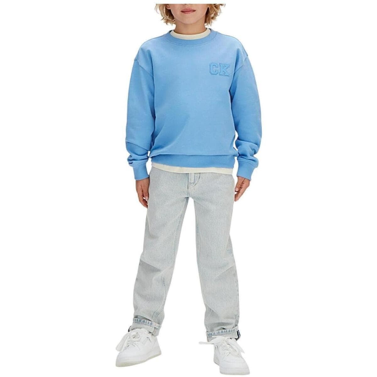 Boys' Hoodies & Sweatshirts Calvin Klein Blue