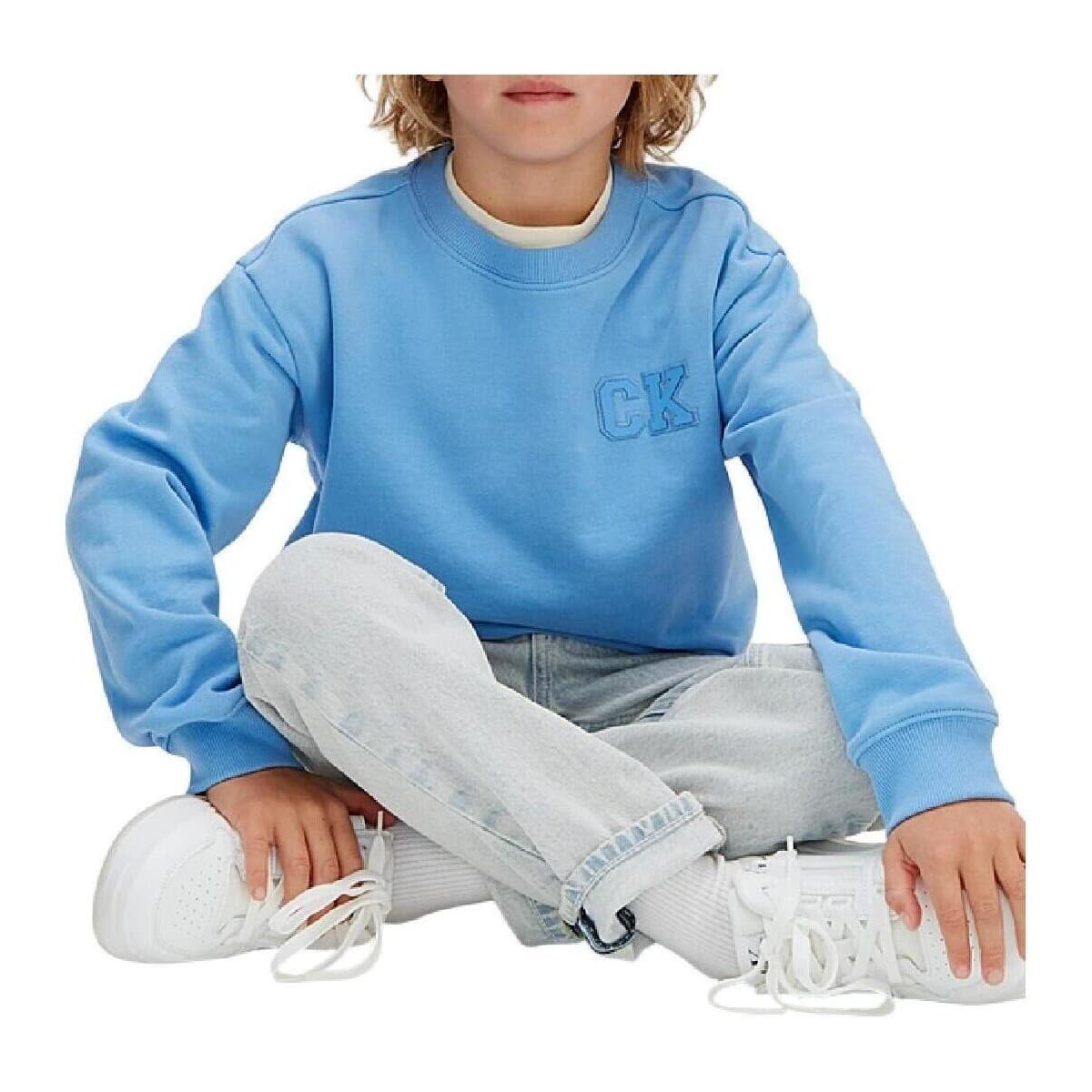 Boys' Hoodies & Sweatshirts Calvin Klein Blue