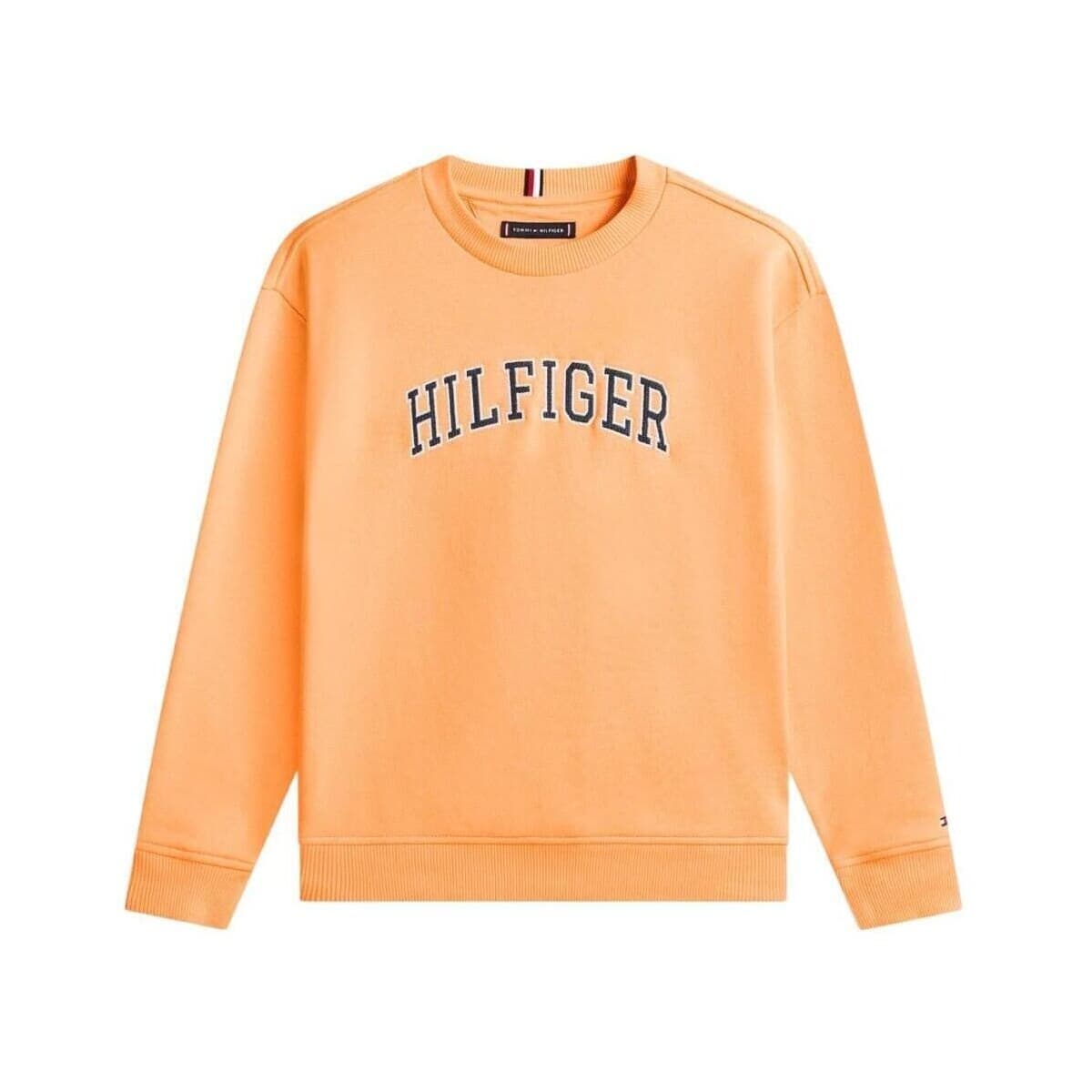 Boys' Hoodies & Sweatshirts Tommy Hilfiger Orange