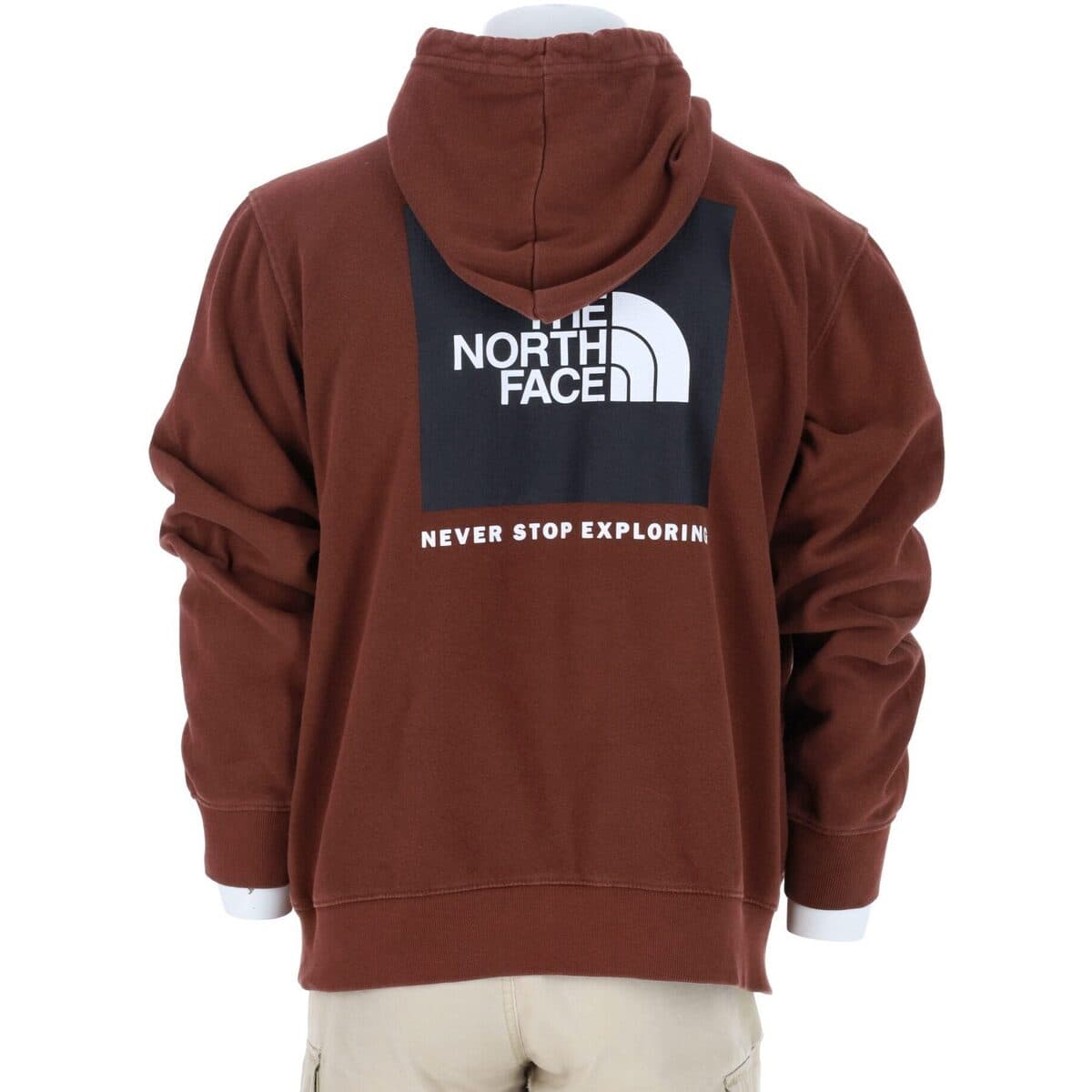 Men's Sweatshirts The North Face Brown