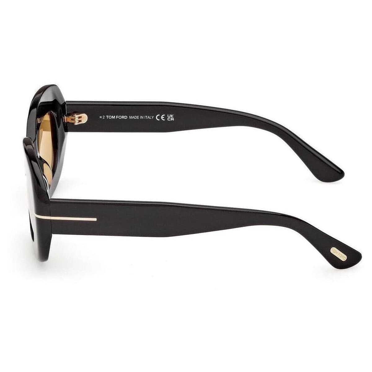 Women's Sunglasses Tom Ford Black