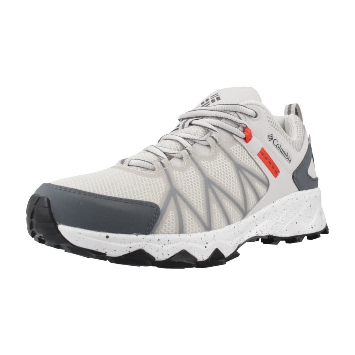 Men's Sports Shoes Columbia Gray