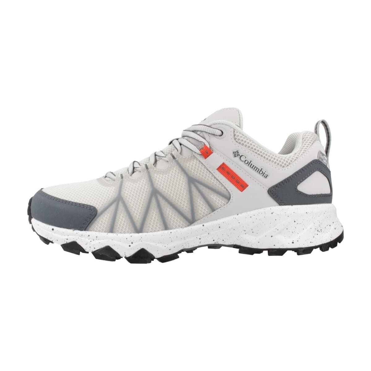 Men's Sports Shoes Columbia Gray