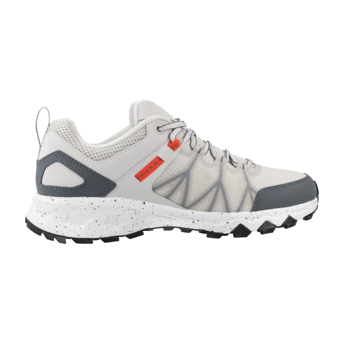 Men's Sports Shoes Columbia Gray