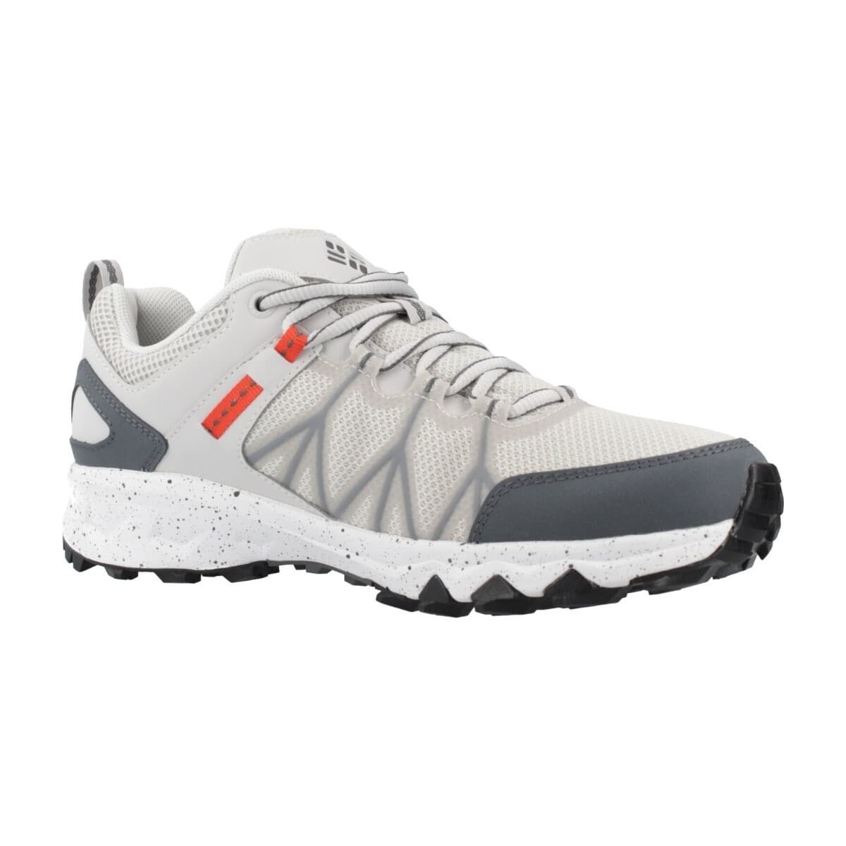 Men's Sports Shoes Columbia Gray