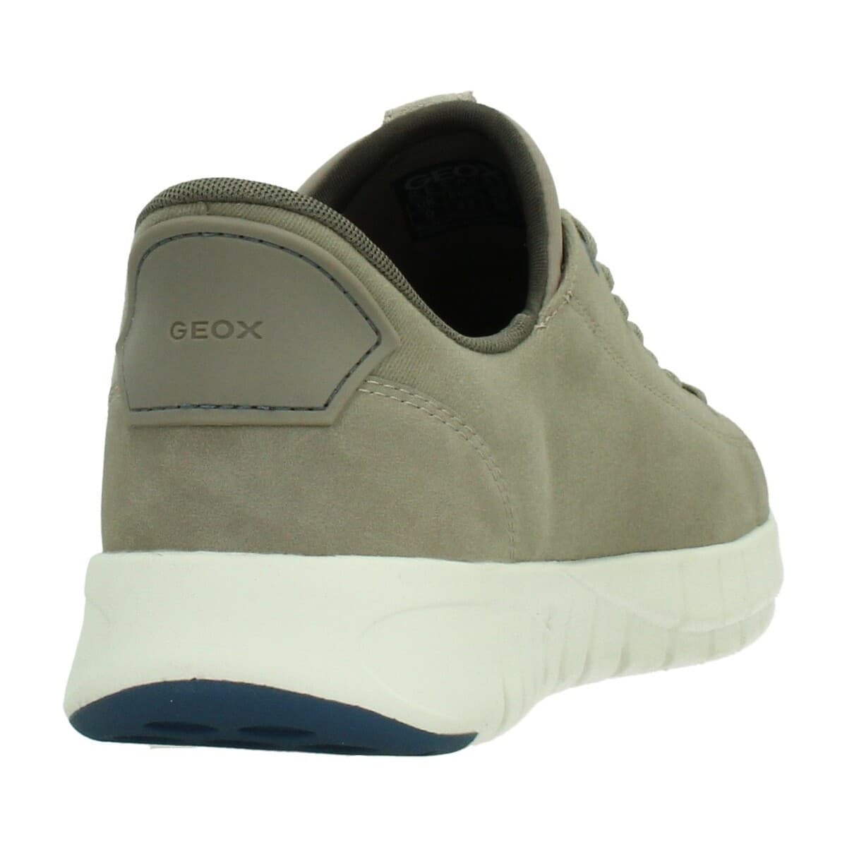 Men's Sneakers Geox Green
