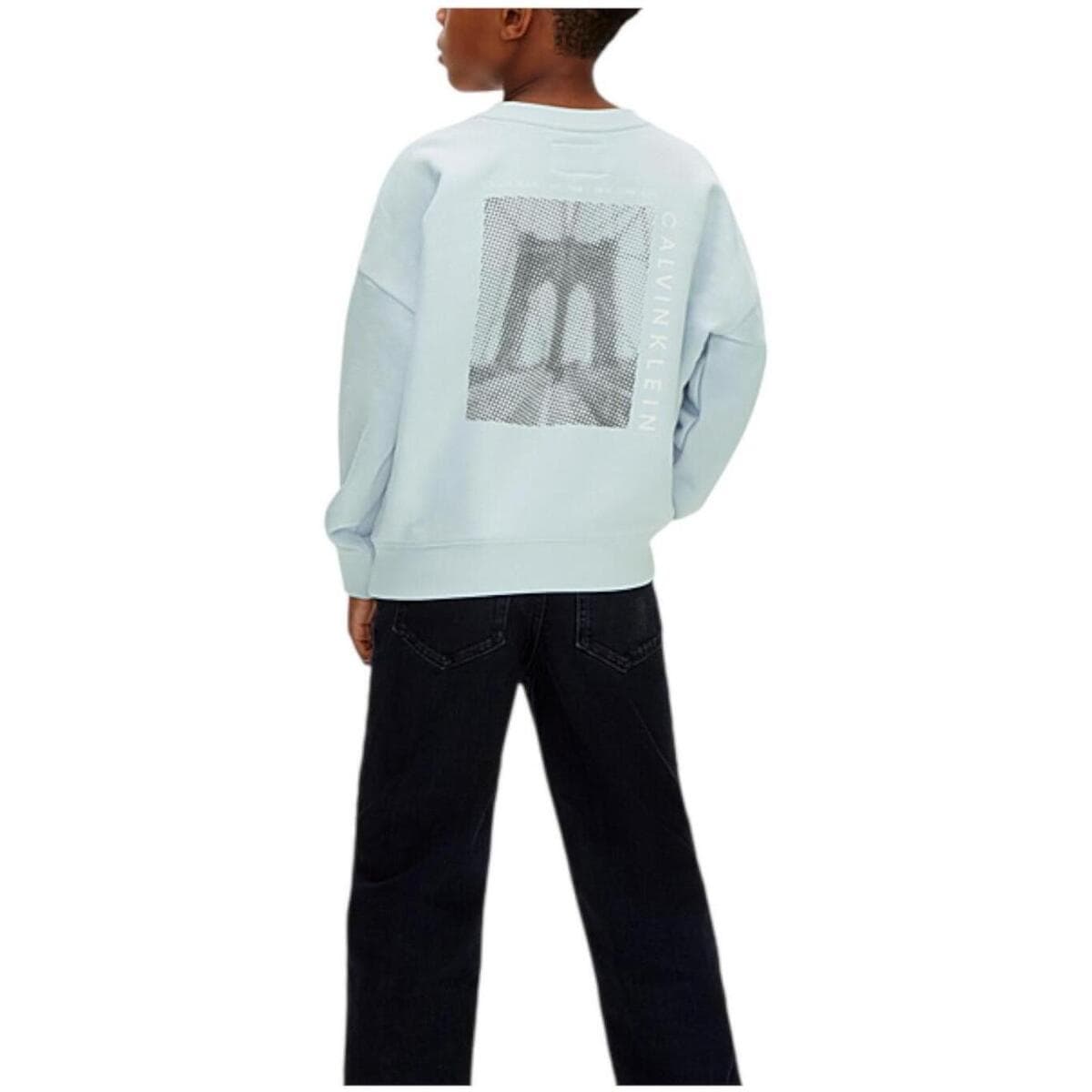 Boys' Hoodies & Sweatshirts Calvin Klein Blue