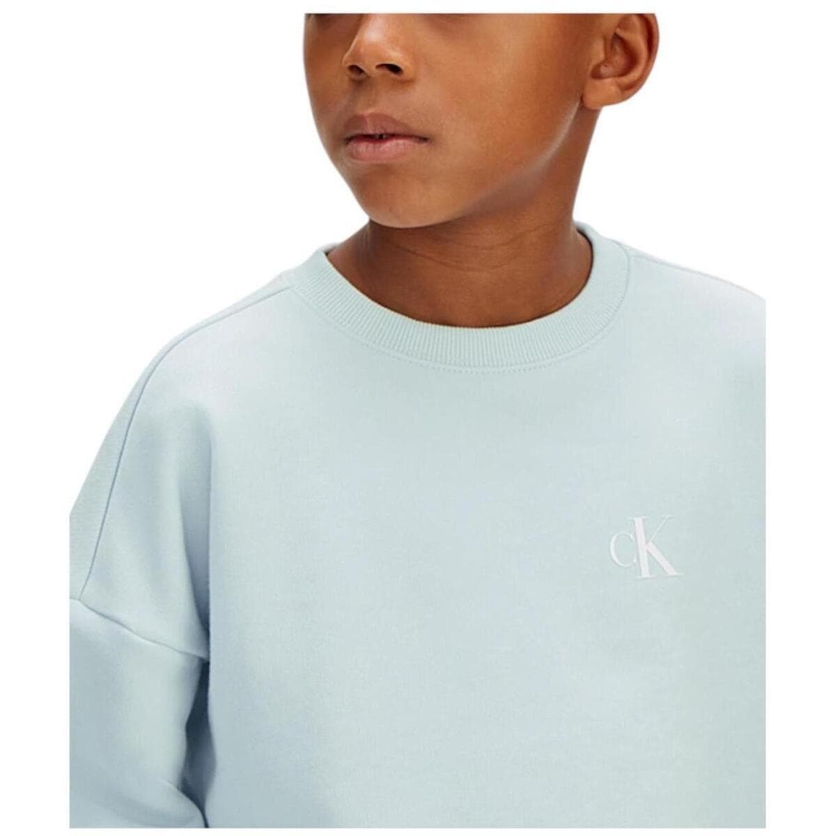 Boys' Hoodies & Sweatshirts Calvin Klein Blue