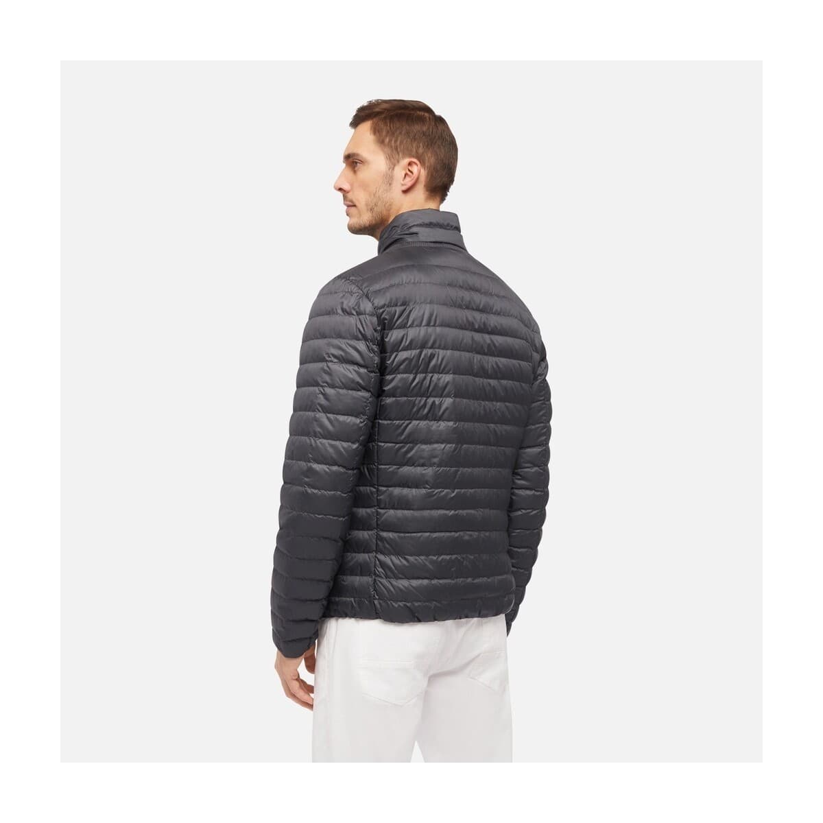 Men's Jackets Geox Gray