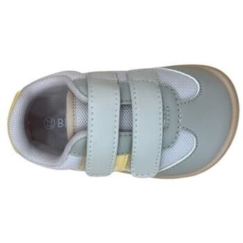 Boys' Sneakers Blanditos Gray