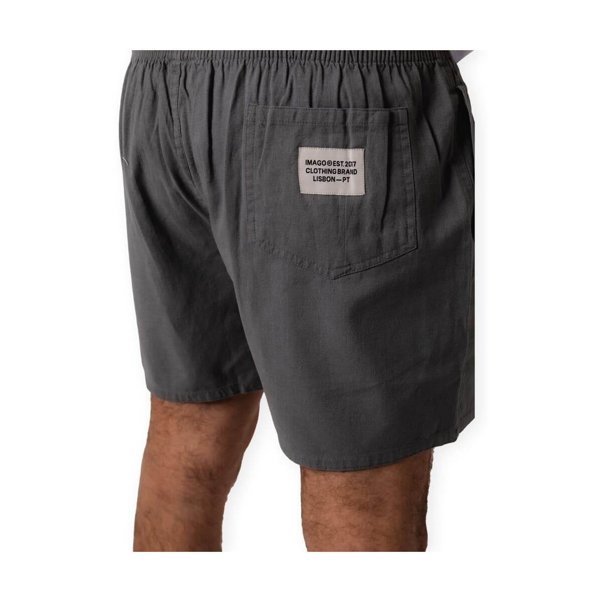 Men's Shorts Imago Gray