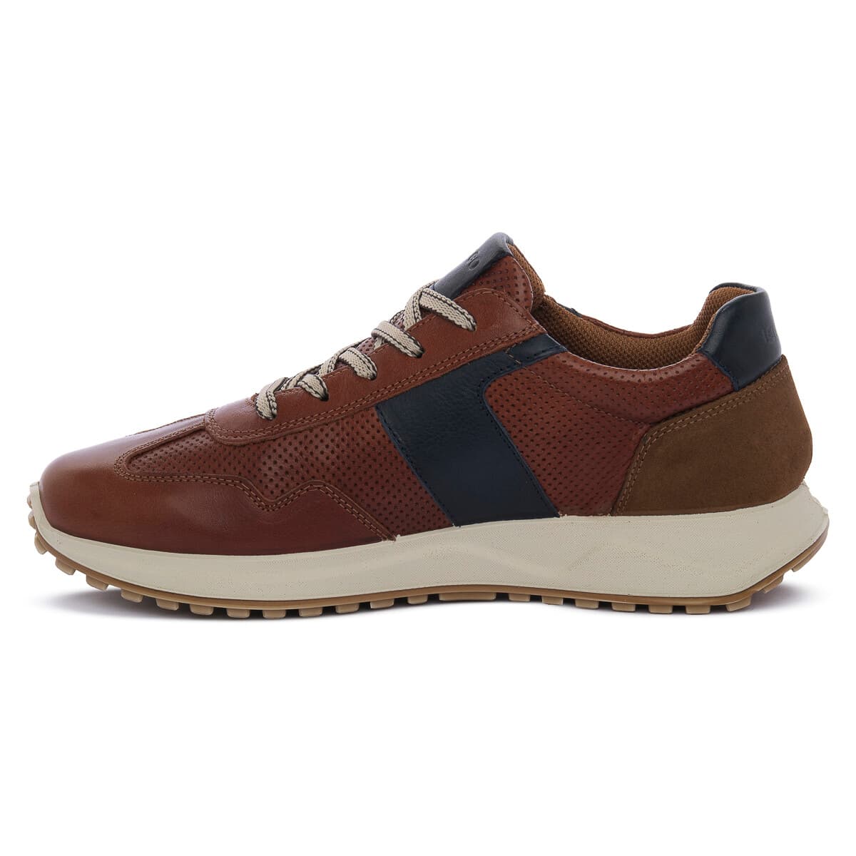 Men's Sneakers IgI&CO Brown
