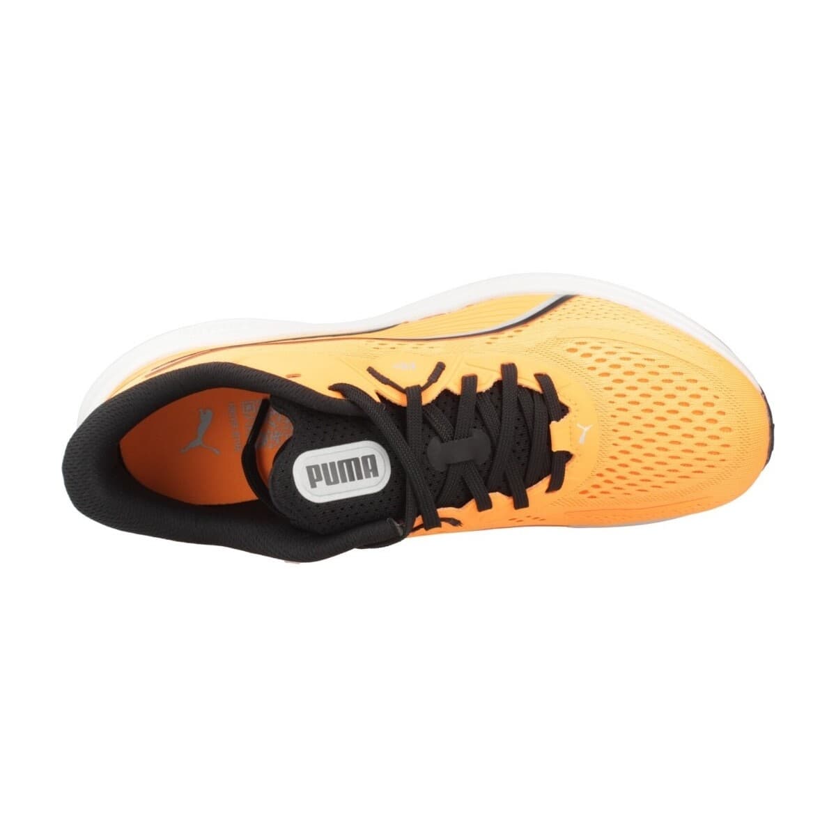 Men's Running Shoes Puma Orange