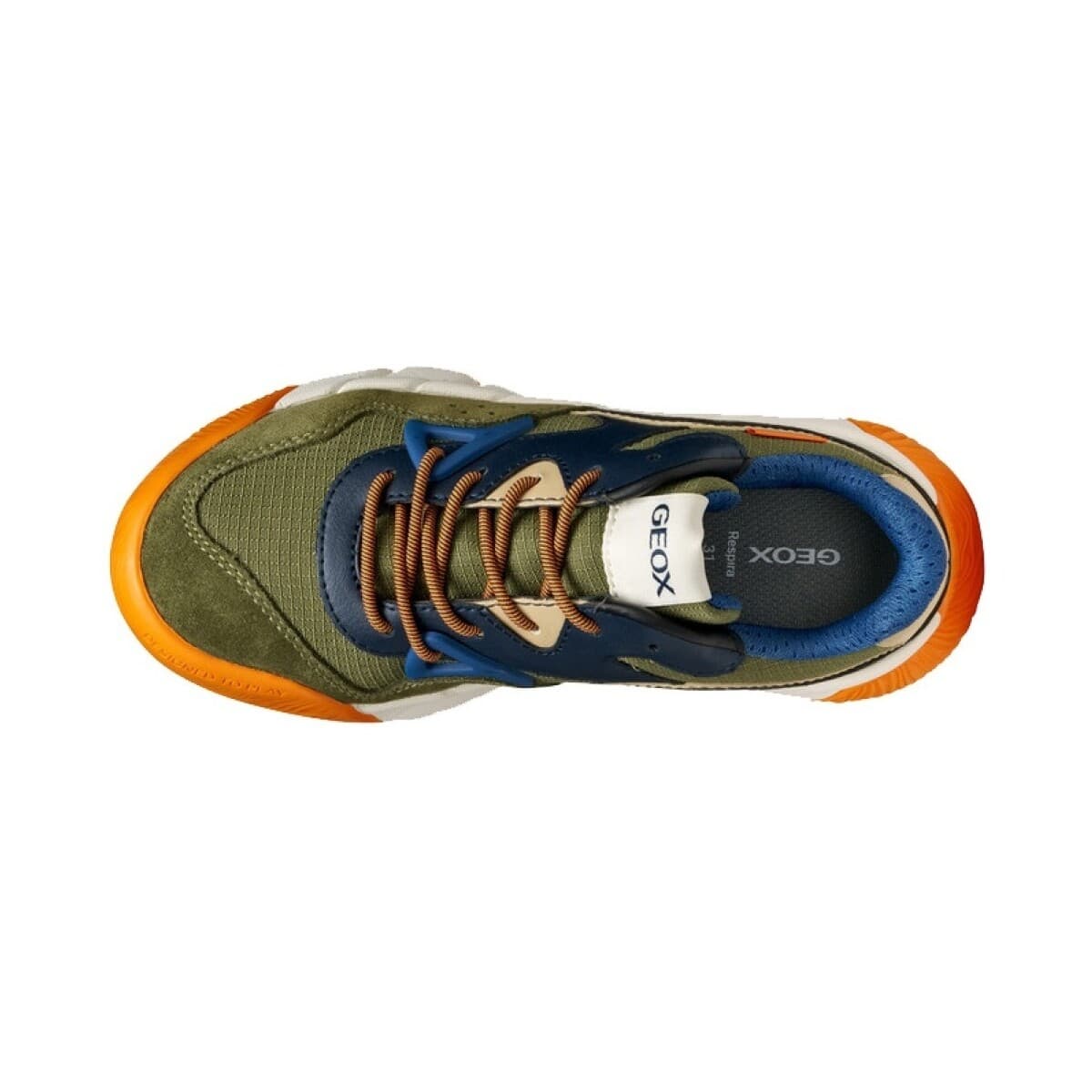 Boys' Sneakers Geox Green