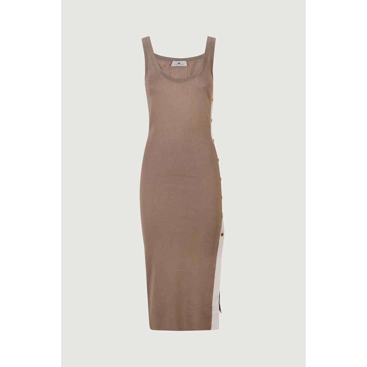 Women's Dresses Elisabetta Franchi Beige
