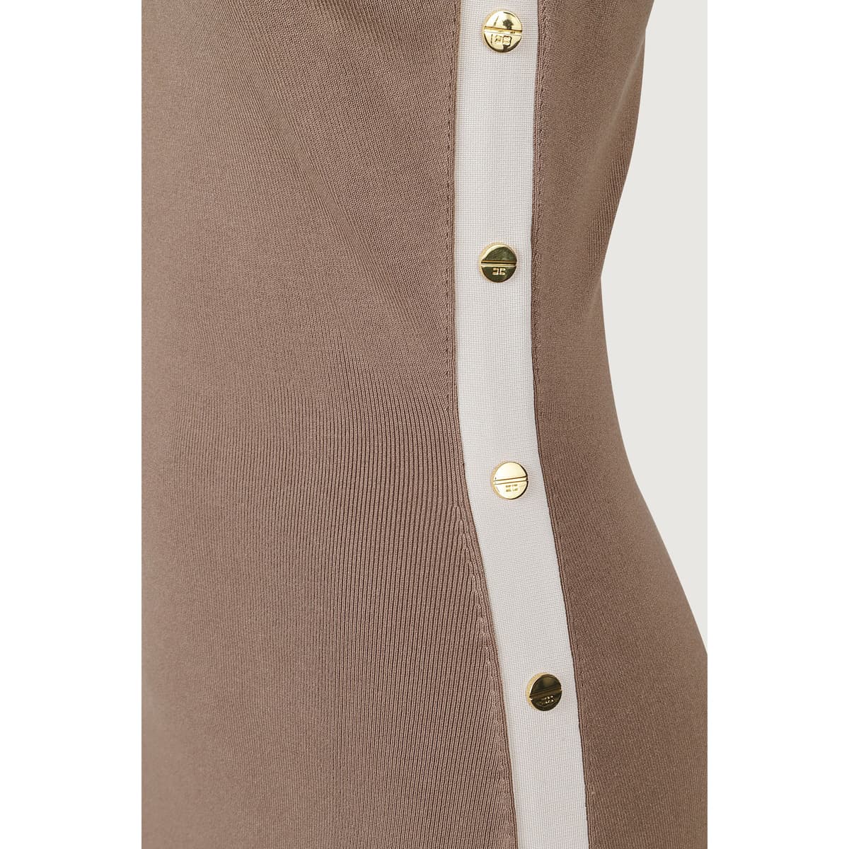 Women's Dresses Elisabetta Franchi Beige