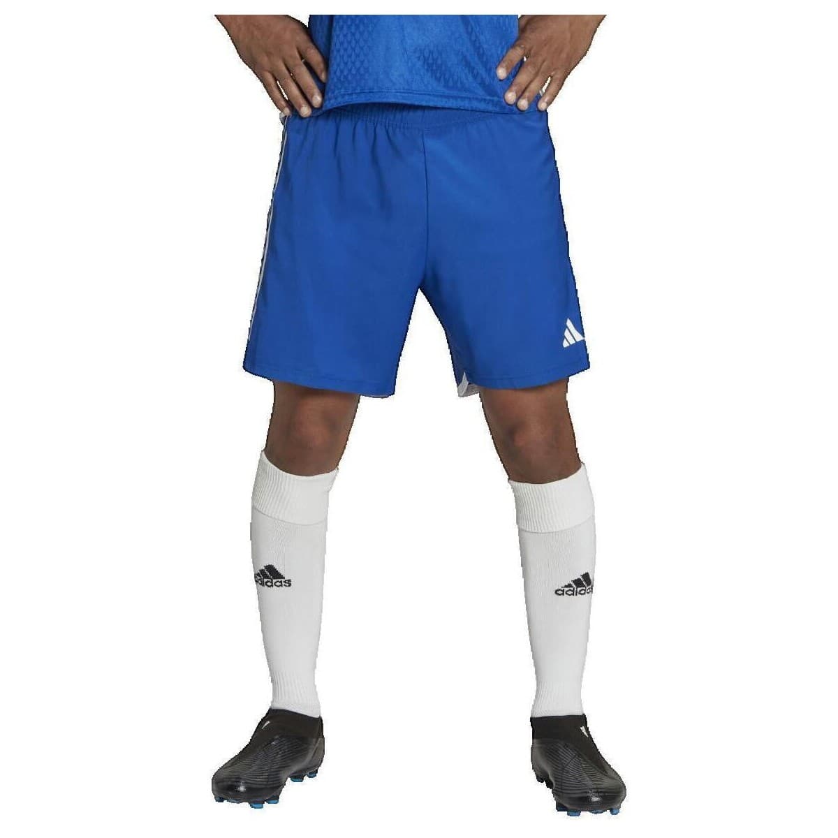 Women's Shorts adidas Blue