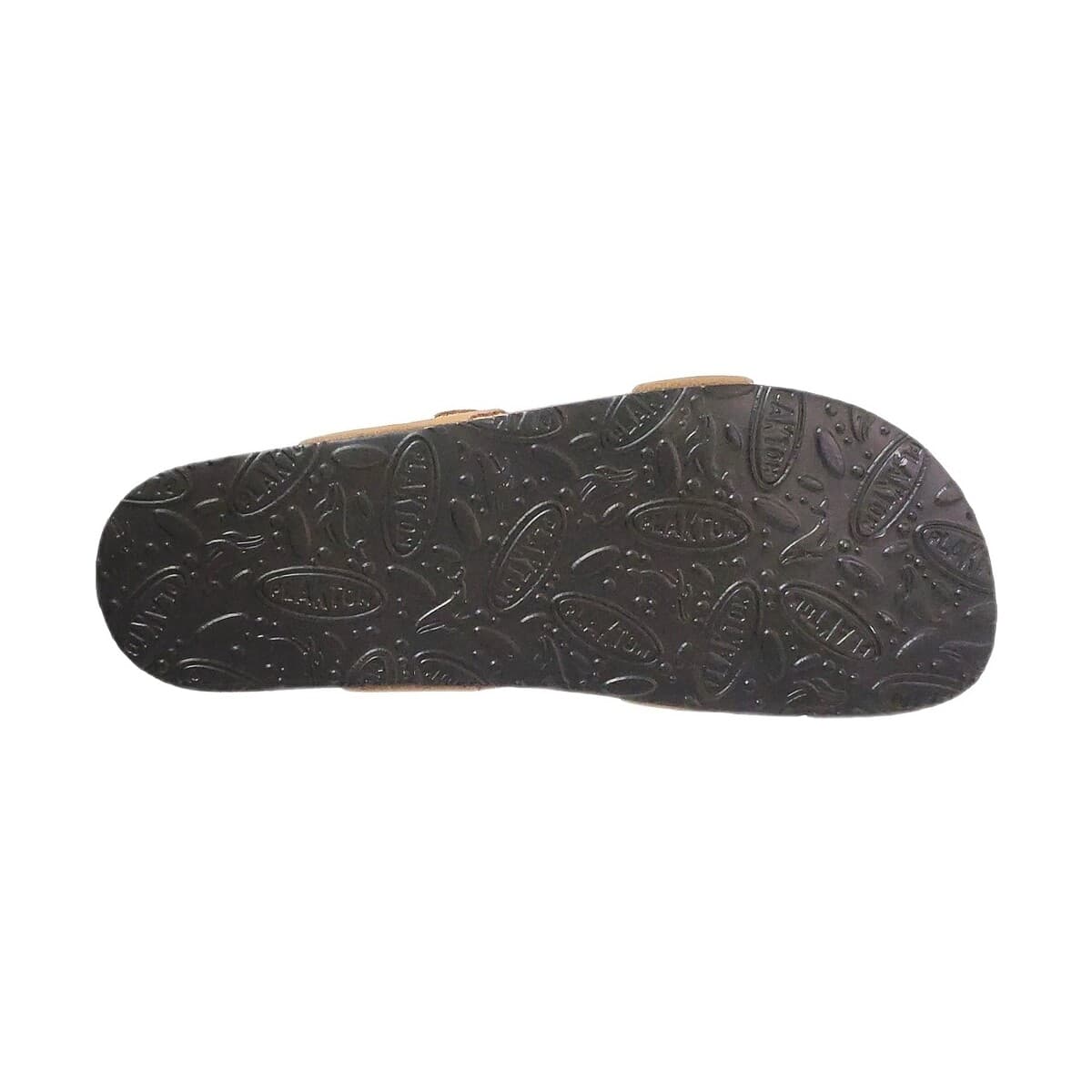 Women's Mules Plakton Brown