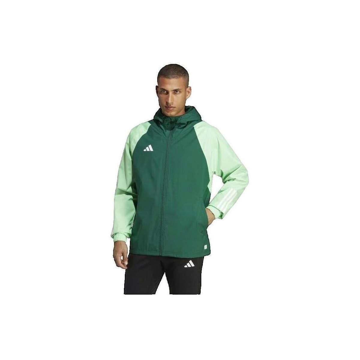 Women's Cardigans adidas Green