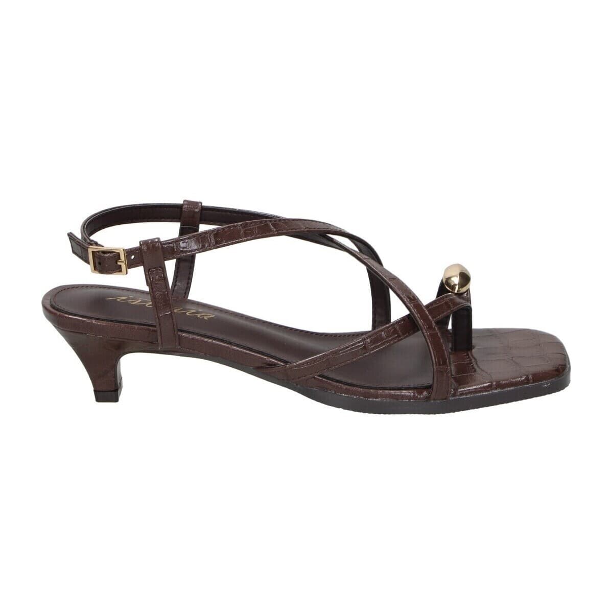 Women's Pumps Isteria Brown