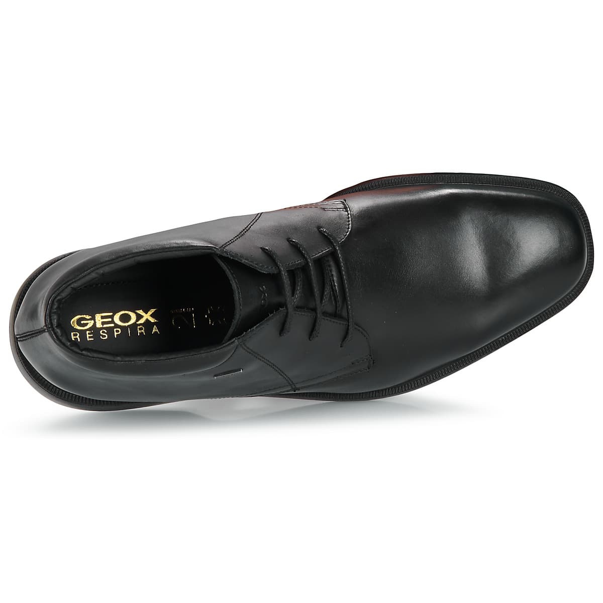 Men's Boots Geox Black