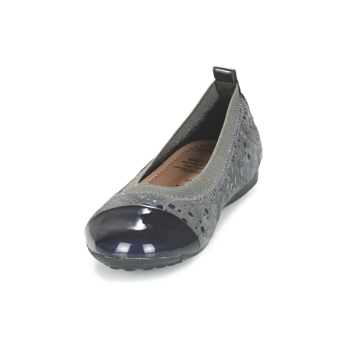 Women's Ballet Flats Geox Gray