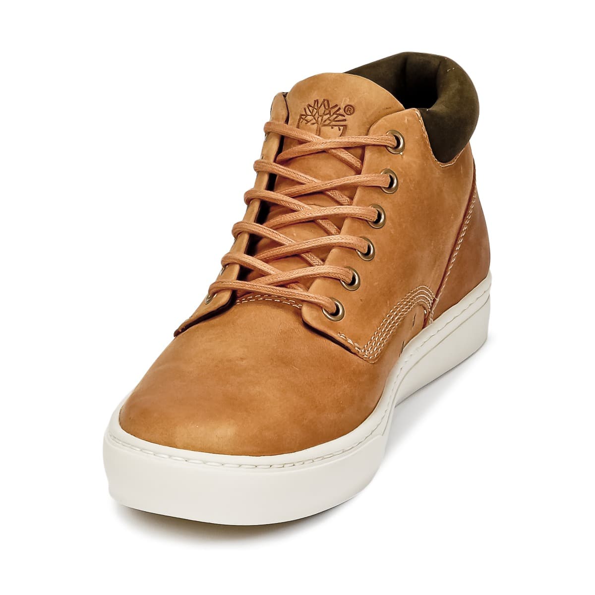 Men's Sneakers Timberland Brown