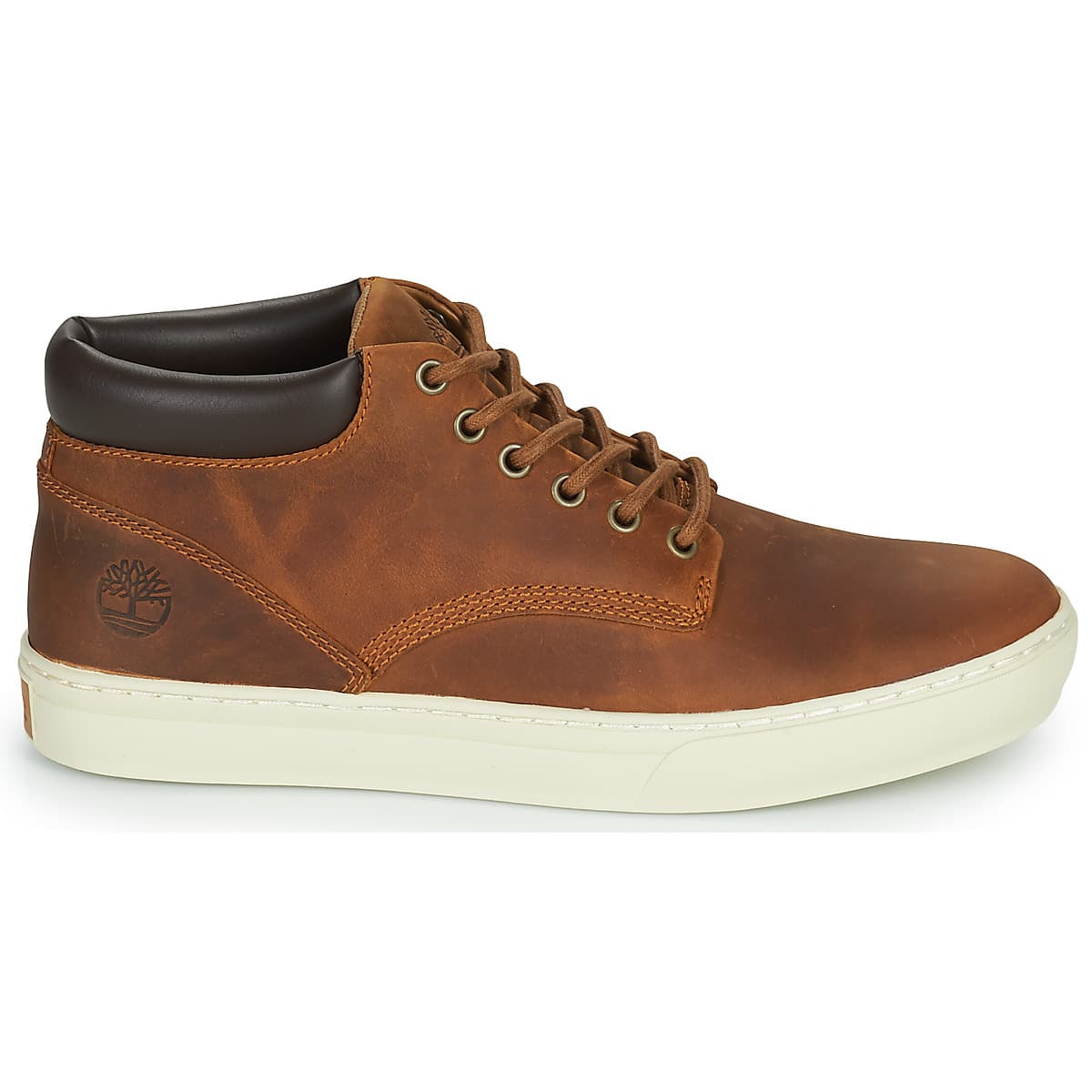 Men's Sneakers Timberland Brown