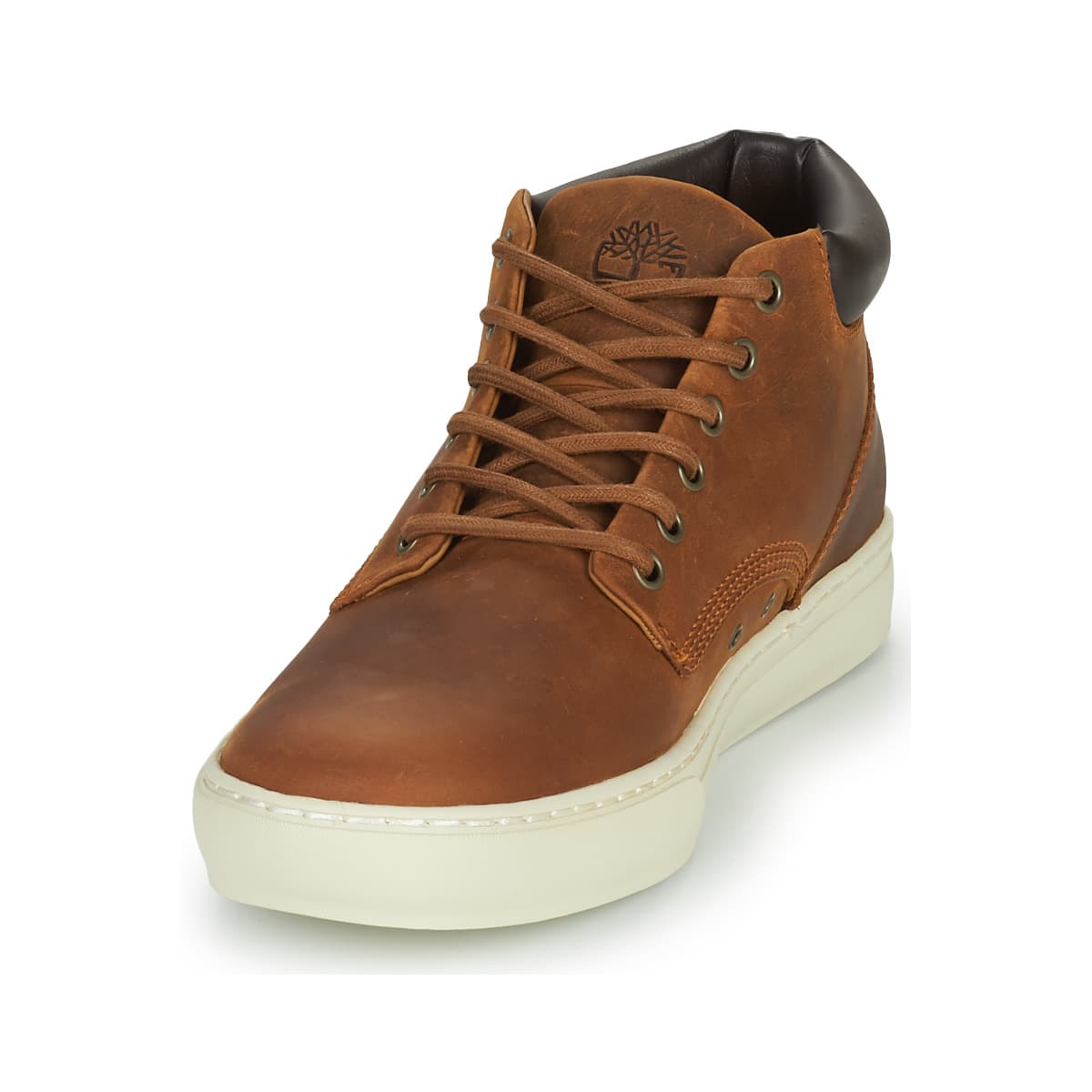 Men's Sneakers Timberland Brown