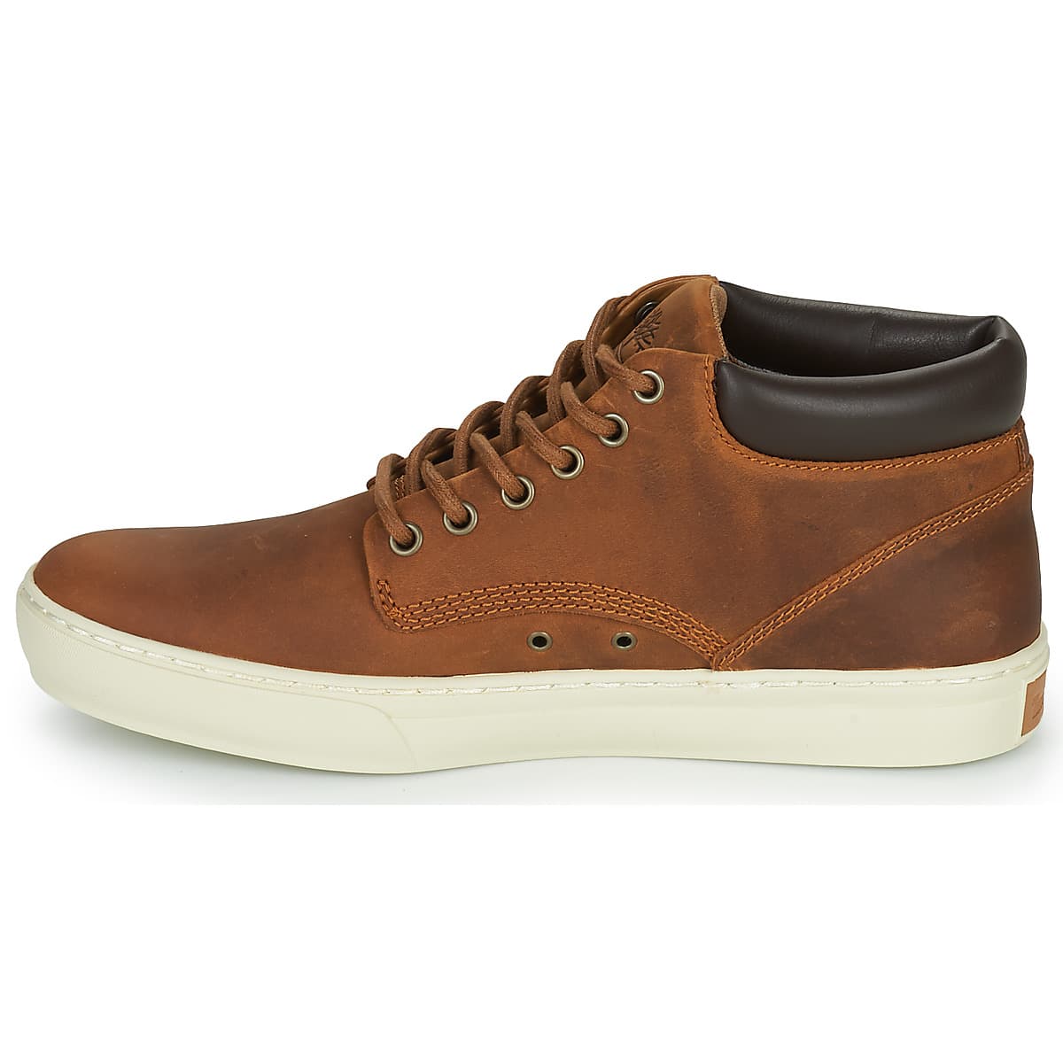 Men's Sneakers Timberland Brown